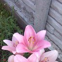 ���� Natali, ������ - ��������� 2 ���� 2015 � ������ ���� �������� 2015�