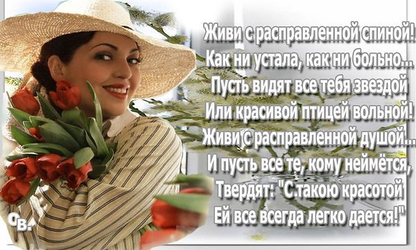   - 7  2015  10:40