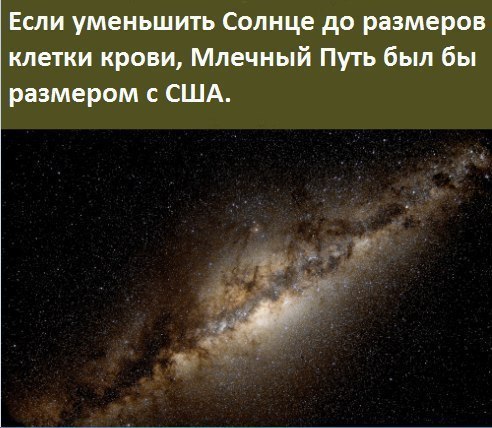 Немного интересных фактов. Небольшая подборка любопытных фактов обо все. Вам будет интересно. - 2