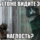���� ���������, �������, 62 ���� - ��������� 11 �������� 2015 � ������ ������ ��������