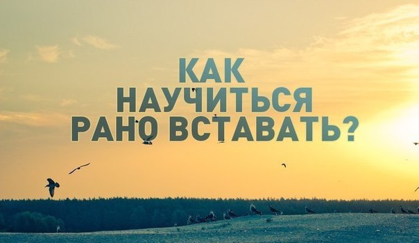 Как научиться рано вставать? Я заметил, что, чем раньше я встаю, тем лучше себя чувствую и больше ...