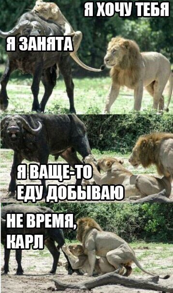    :-) - 1  2015  04:20