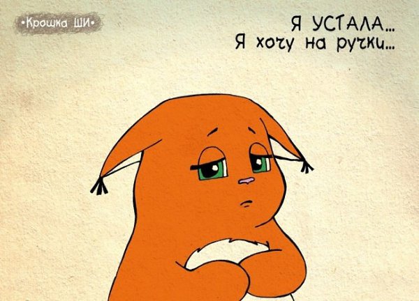 20 комиксов с девичьей правдой от белки Ши. Обаятельную толстушку с кисточками на ушах придумала ... - 11