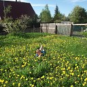 ���� �������, ������������, 57 ��� - ��������� 29 ������� 2015 � ������ ���� ����������