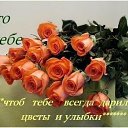 ���� ������, �����-��������, 47 ��� - ��������� 24 �������� 2015 � ������ �������� ��������