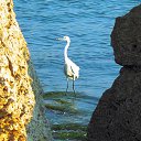 ���� ���������, ����������, 73 ���� - ��������� 28 ���� 2015 � ������ ��������� � ������