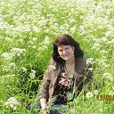  , -, 63  -  26  2015    