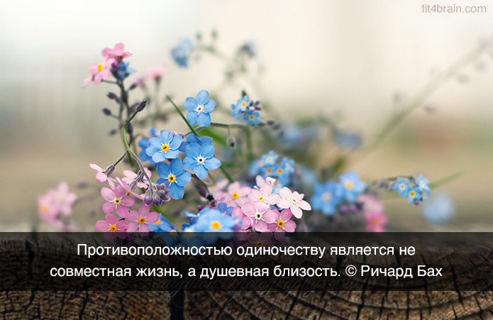 Стихи, Цитаты, Мысли. - 23 июня 2015 в 06:44