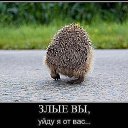 ���� ���������, �����-���������, 46 ��� - ��������� 13 ������� 2015 � ������ ���� ����������