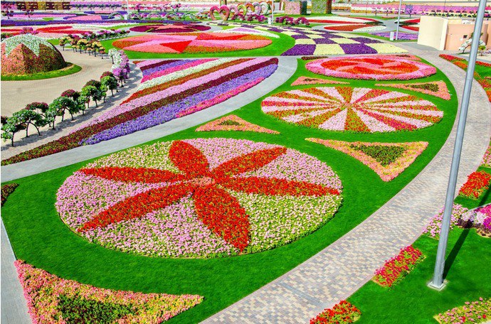 DUBAI MIRACLE GARDEN.          ...