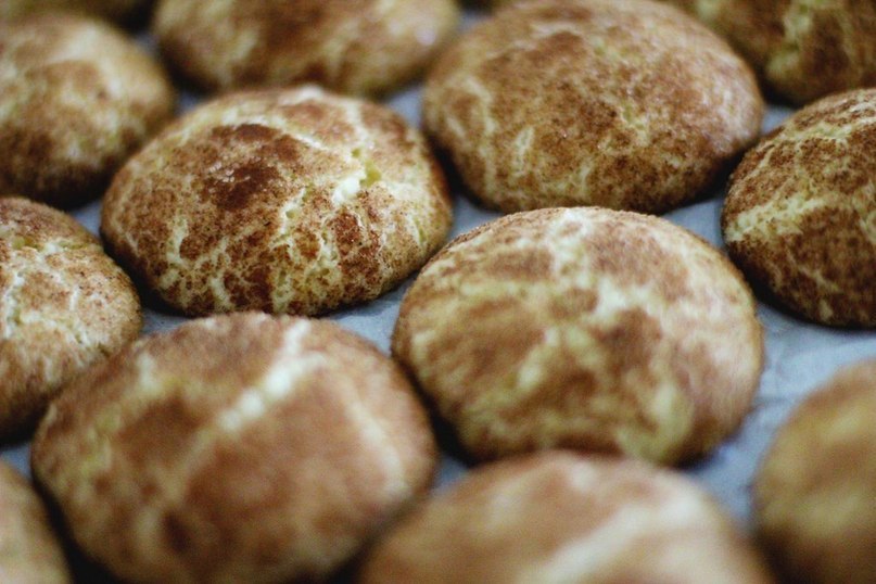  Snickerdoodle.:  2+3/4   1/4 . .   10  ... - 5
