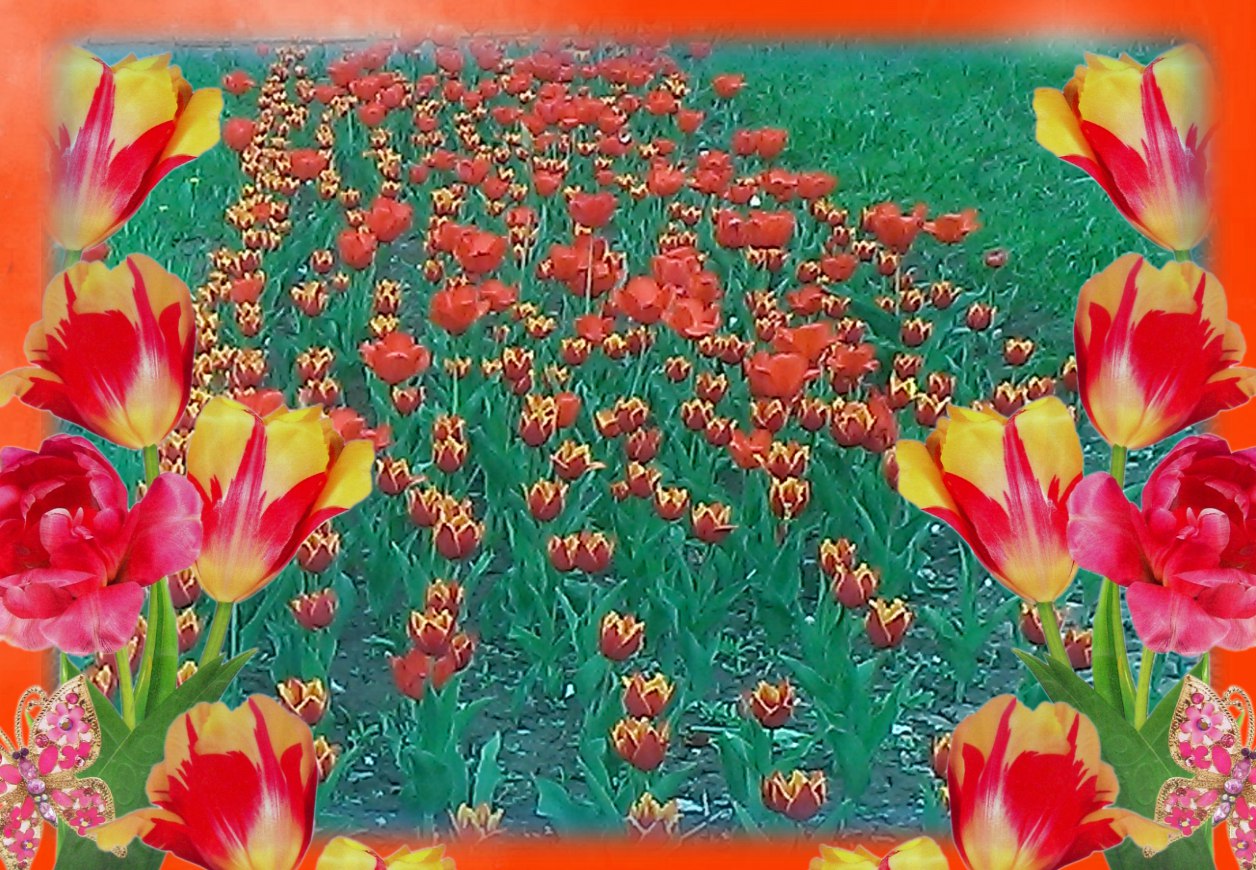   ,   ,   .   ,  ...