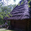 ���� ���������, �����������, 66 ��� - ��������� 18 ��� 2015 � ������ ��������� �� ��������