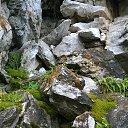 ���� �������, ���������, 46 ��� - ��������� 7 �������� 2015 � ������ ���� ����������