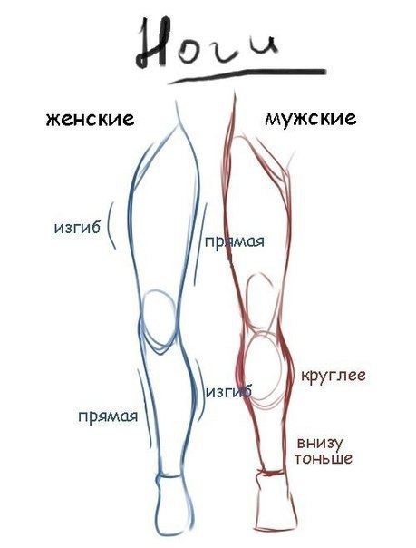    - 2