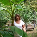 ���� ����, �����, 53 ���� - ��������� 16 �������� 2015