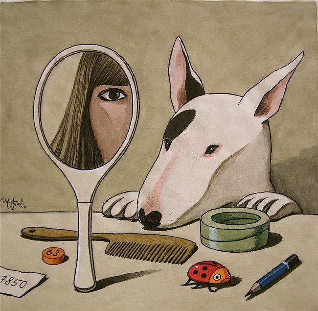 Английский бультерьер. - 23 мая 2015 в 01:52