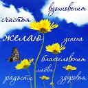 ���� ����, ����� - ��������� 23 ������ 2015 � ������ �������� ��������