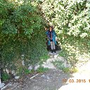 ���� �������, ��������� - ��������� 28 ������ 2015 � ������ ���� ����������