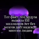 ���� ������, ������, 45 ��� - ��������� 7 ���� 2015 � ������ ���� ����������