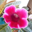 ���� �������, ������� - ��������� 22 ���� 2015 � ������ �������� �������.�