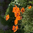  , , 49  -  13  2015   :))