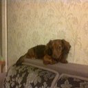 ���� Mrs, ���� - ��������� 12 ���� 2015 � ������ ���� ����������