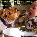 ���� �����, ����, 82 ���� - ��������� 6 ������� 2015 � ������ �������