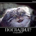 ���� Gugo, ������, 52 ���� - ��������� 4 ��� 2015 � ������ �����-����