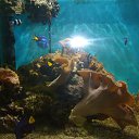 ���� ���������, �����, 27 ��� - ��������� 14 ���� 2015 � ������ ���� ����������