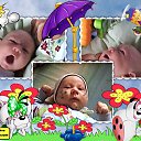 ���� �����, ���, 41 ��� - ��������� 4 ���� 2015 � ������ ���� ������� ��������