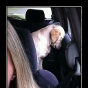 ���� �����, �����, 48 ��� - ��������� 24 ���� 2015 � ������ ��������-����������-�������������Ż