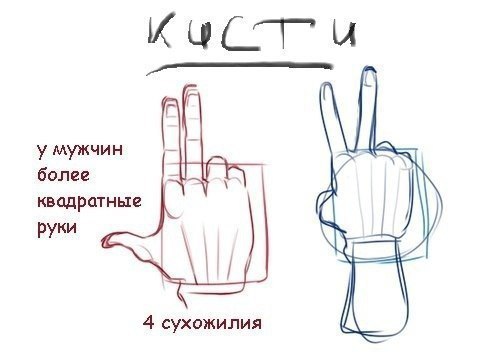    - 3