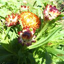 ���� �������, ��������, 66 ��� - ��������� 11 ���� 2015 � ������ ���� ����������