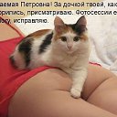 ���� �����, �����, 48 ��� - ��������� 14 ������� 2015 � ������ �6�