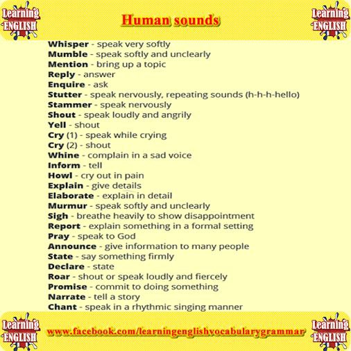  | English for everyone - 31  2015  10:30