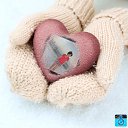 ���� �����, ������ - ��������� 24 ������� 2015 � ������ ���� ����������