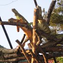 ���� ��������, ������������ - ��������� 2 ������� 2015 � ������ ������ ��������