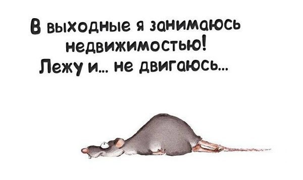 The Lady - 11  2015  06:28