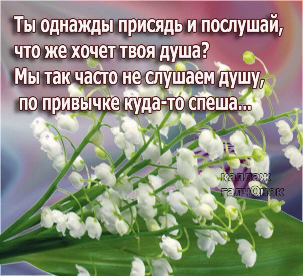 Хочу проснуться рано-рано, Чтоб солнце чуть касалось крыш, И в легком утреннем тумане Полюбоваться, ...