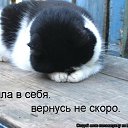 ���� �������, ������ - ��������� 27 ���� 2015 � ������ ���� ����������