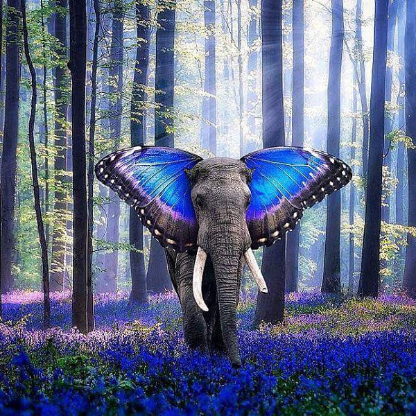 У каждого в мире должно быть свое Лимпопо. Волшебное место, где лечат любые невзгоды. Чудесное ...