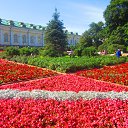  , , 65  -  26  2015    »