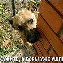 ���� ��������, �����-���������, 72 ���� - ��������� 8 ������� 2015 � ������ ������ ��������