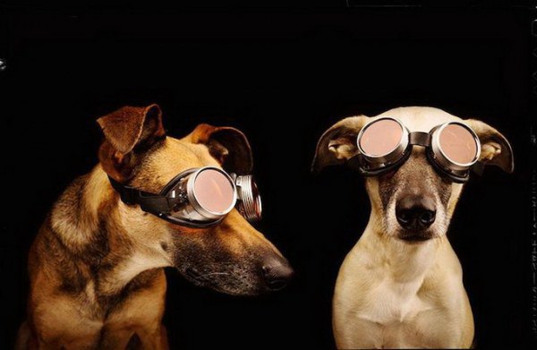-   (Elke Vogelsang)        ... - 8