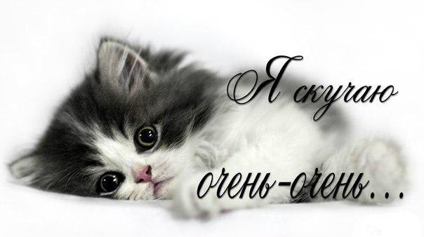 ��, � ������, �������� �� ����, �� ���, ���� ��, ���-�� �������...