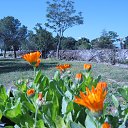 ���� ���������, �����������, 69 ��� - ��������� 18 ��� 2015 � ������ �������.��� 2015�