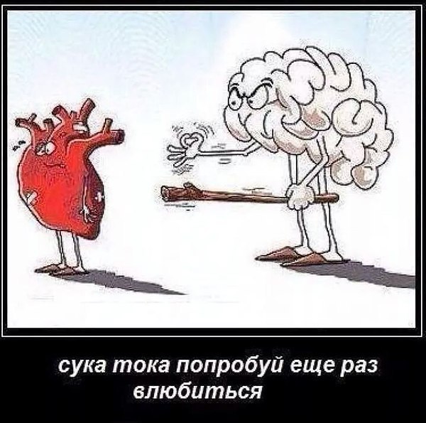 ** - 5  2015  15:04