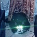 ���� ����������, ���������, 61 ��� - ��������� 29 ��� 2015 � ������ ���� ����������