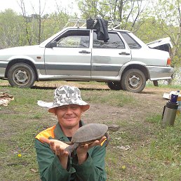 ���� ������, ���������, 53 ���� - ��������� 18 ��� 2015